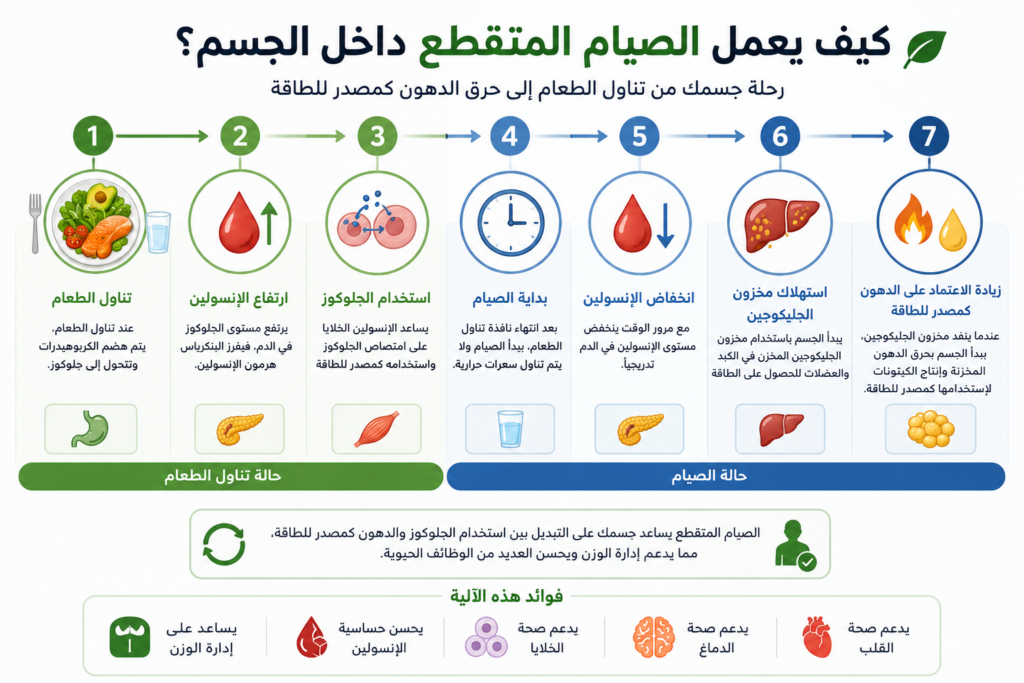 كيف يعمل الصيام المتقطع داخل الجسم؟
